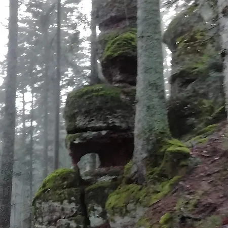 Maison De Dans Les Vosges * Aumontzey